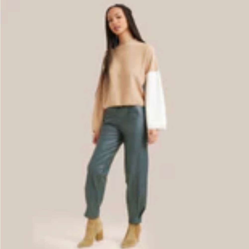 Modern Citizen vegan leather track pant